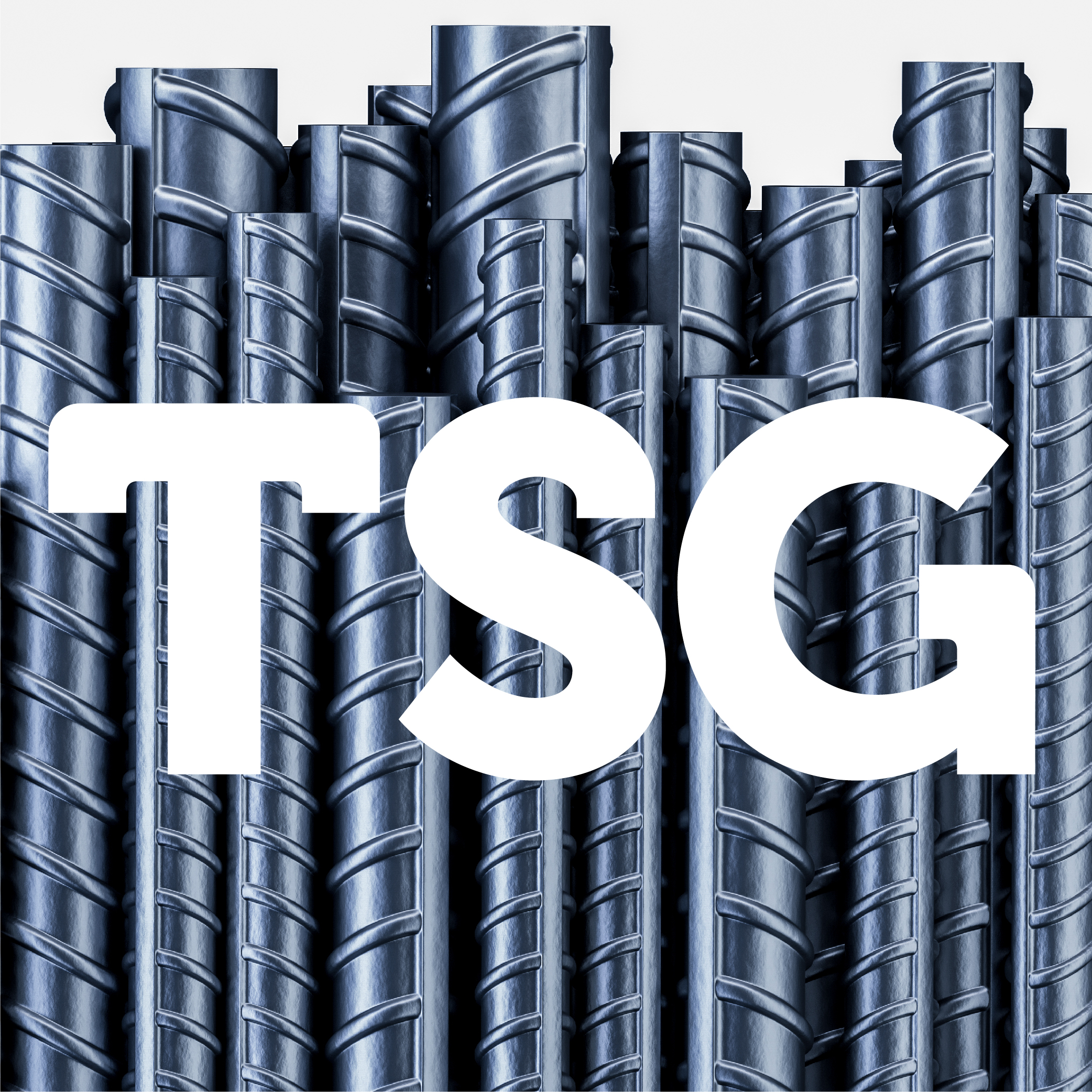 Digital Services for TSG